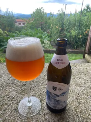 Borresteijn's photo of Double Dry Hopped Export