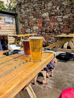 simontomlinson's photo of Gold
