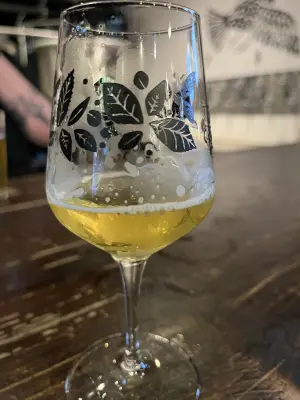 CraftBeerNick's photo of Anguille - V8
