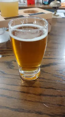 Clarkvv's photo of Holliston IPA