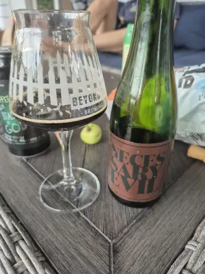 Lubiere's photo of Necessary Evil
