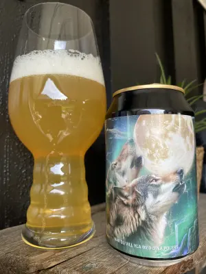 IpaPils's photo of Hooja Varg IPA