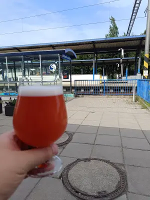 Marko's photo of Milkshake Session Fruit IPA 12°