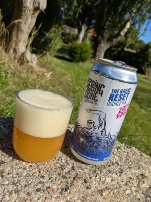 MiP's photo of The Great Reset 2025 Edition