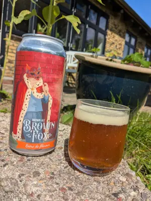 MiP's photo of Brown Fox