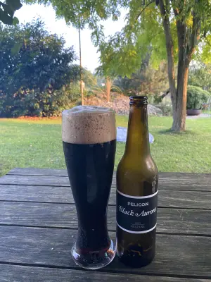 Borresteijn's photo of Black Aurora