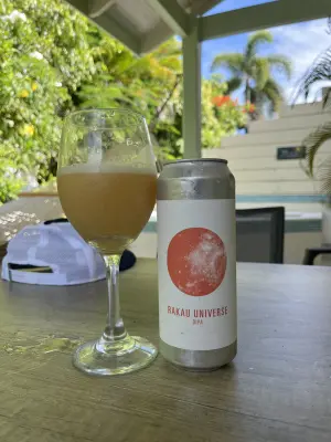 CraftBeerNick's photo of Rakau Universe