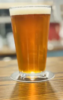 Jow's photo of Holliston IPA