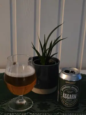 Lunde's photo of Åsgarn