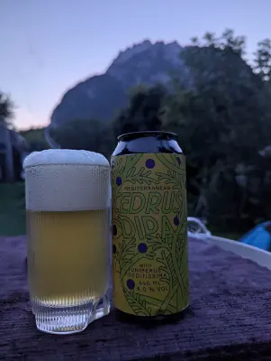 Fin's photo of Mediterranean Cedrus DIPA