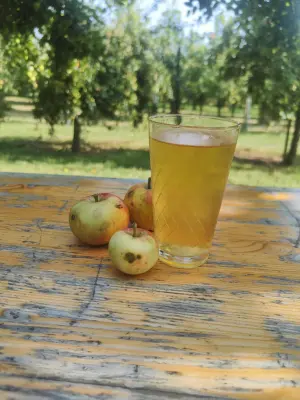 minutemat's photo of Boskoop Alte Bäume mit echtem Speierling