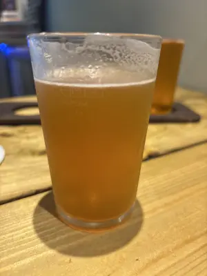 Mr_Pink_152's photo of Mosaic Session Pale Ale