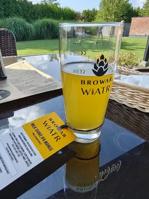 Kreteu's photo of Milkshake IPA Mango