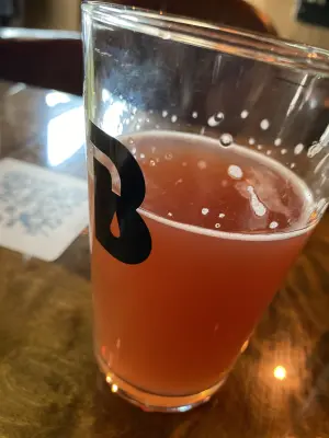 IpaPils's photo of Raspberry Gose