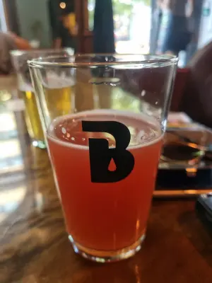 Arsol's photo of Raspberry Gose