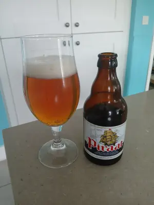 DavrosIX's photo of Piraat (10.5%)