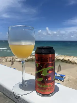 CraftBeerNick's photo of Double Elixer XI (Nectaron, Simcoe, Idaho-7)