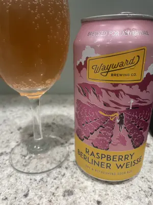 KansaiBeerLovers's photo of Raspberry Berliner Weisse
