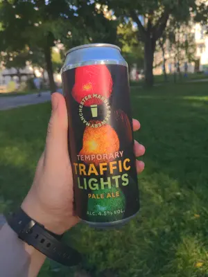 Goldbarren's photo of Temporary Traffic Lights