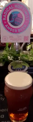Deanso's photo of Radical Hoptimist