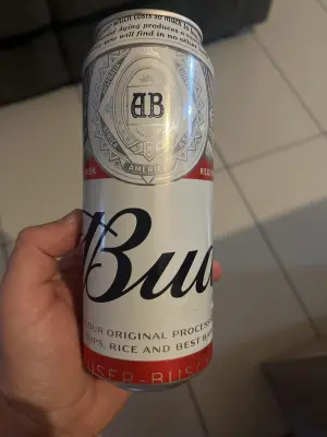 Bbcplux's photo of Budweiser