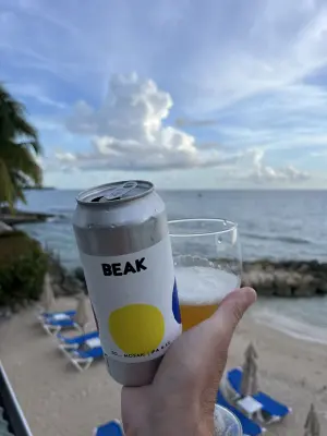 CraftBeerNick's photo of So... Mosaic