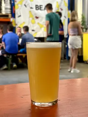 jimgreen's photo of Nolia IPA