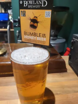 danlo's photo of Bumble