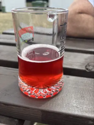 Mr_Pink_152's photo of Agua Fresca Sour