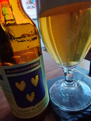 TomHendriksen's photo of Saison De Geldrop