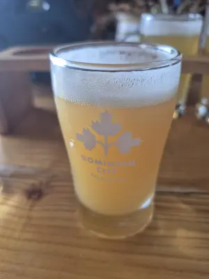 Lubiere's photo of Champlain Supernova IPA
