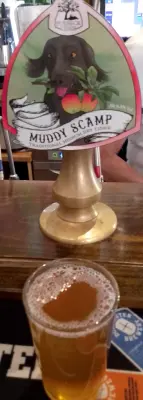 Deanso's photo of Muddy Scamp