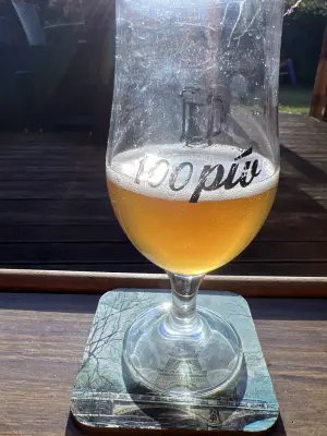 Grumbo's photo of 2023 Sparkling Apple Wine #3