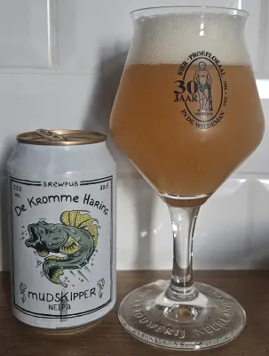 potjebier's photo of Mudskipper V20 Talus / Idaho7