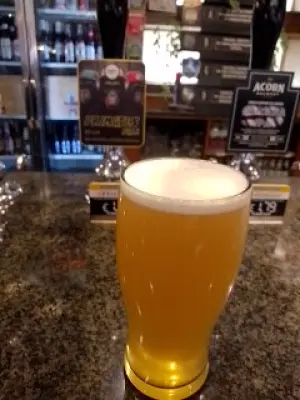 Deanso's photo of Primates Pale
