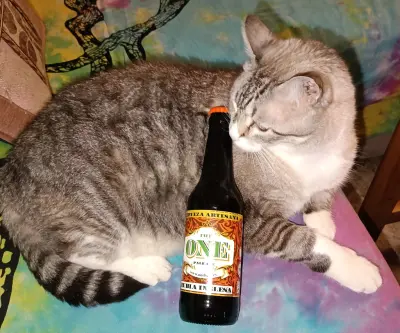 Pindolaire's photo of Rubia Inglesa (Pale Ale)