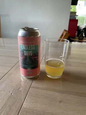 Ken1's photo of Endless Days Organic Hoppy Pilsner