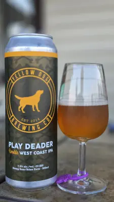 BeerPlace's photo of Play Deader IPA