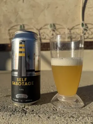 bhensonb's photo of Self Sabotage TIPA