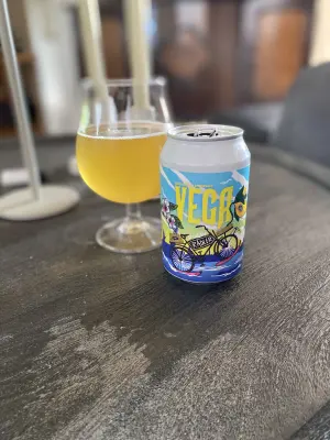 IpaPils's photo of Ringön Radler: Lemon