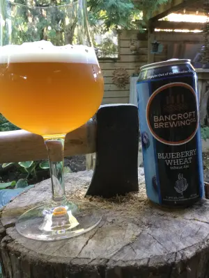 Tessic's photo of Blueberry Wheat