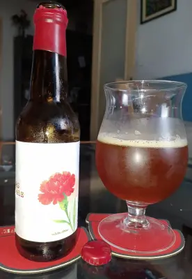 Pindolaire's photo of Flanders Red Ale
