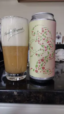 Clarkvv's photo of Smaller Guava