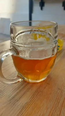 Gurthnar's photo of Světlé výčepní 10°