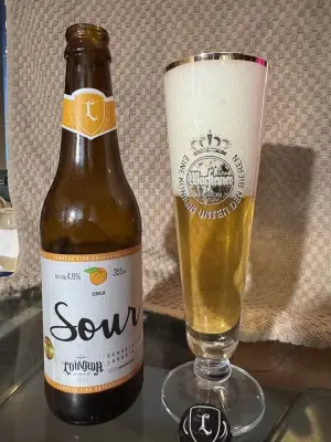 bhensonb's photo of Catharina Sour Laranja