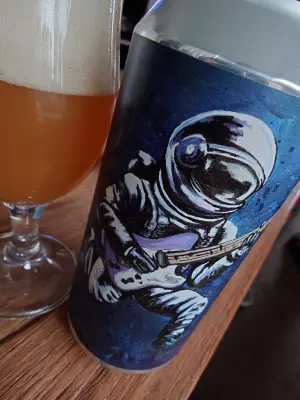 TomHendriksen's photo of Giant Leap #1