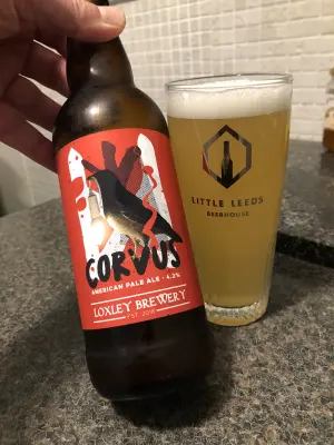 Garrold's photo of Corvus