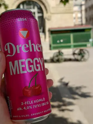TomHendriksen's photo of Meggy