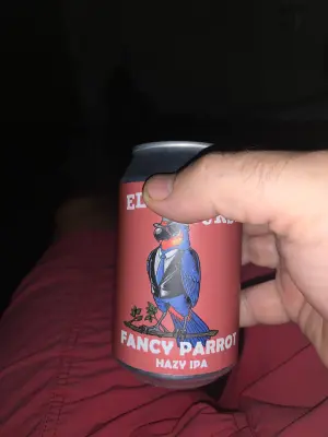 Nisse666's photo of Fancy Parrot