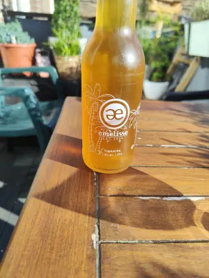 minutemat's photo of Tropical Ale